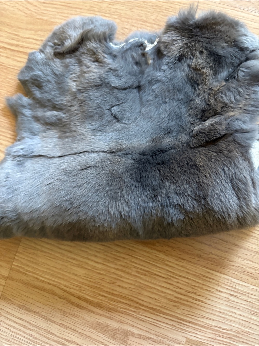 B0080 Rex rabbit hide - Picture 3 of 3
